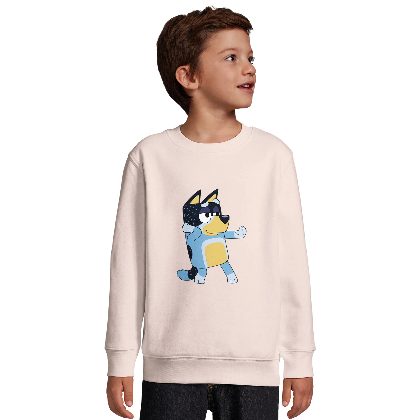 10272710-11de-4512-9c60-92c901f3cb48